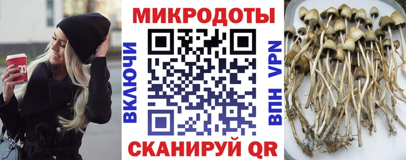 Галлюциногенные грибы GOLDEN TEACHER Тырныауз